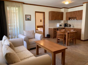 Bright & Lovely Apartment in Bansko with Free SPA and Garage